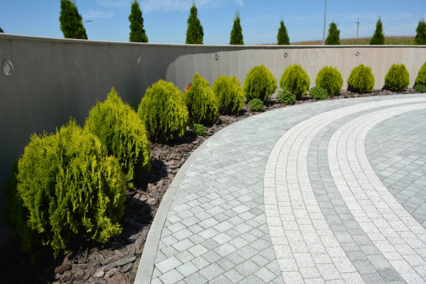 Best Professional Driveway Pavers  in Mccormick, SC